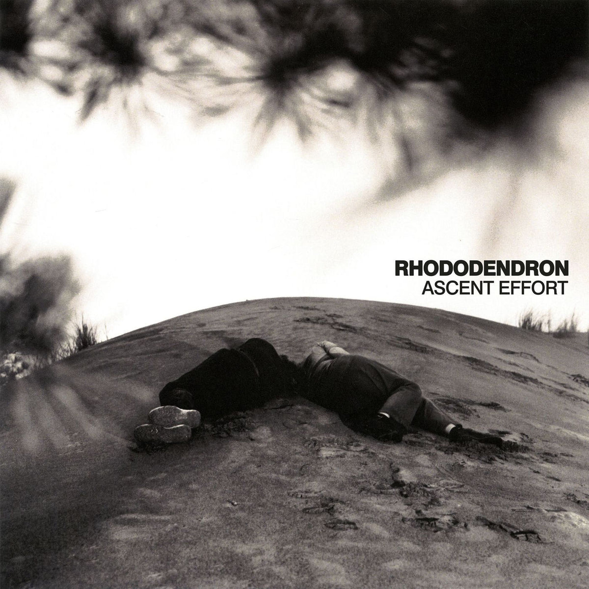 Rhododendron – Ascent Effort vinyl record cover