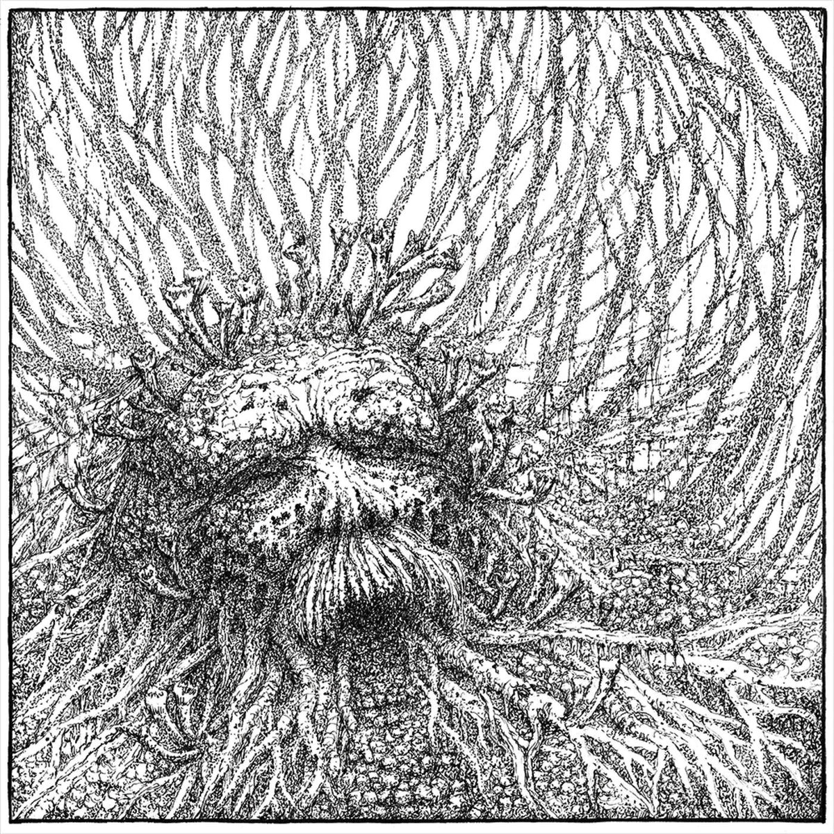 Nemorous – Nemorous vinyl record cover
