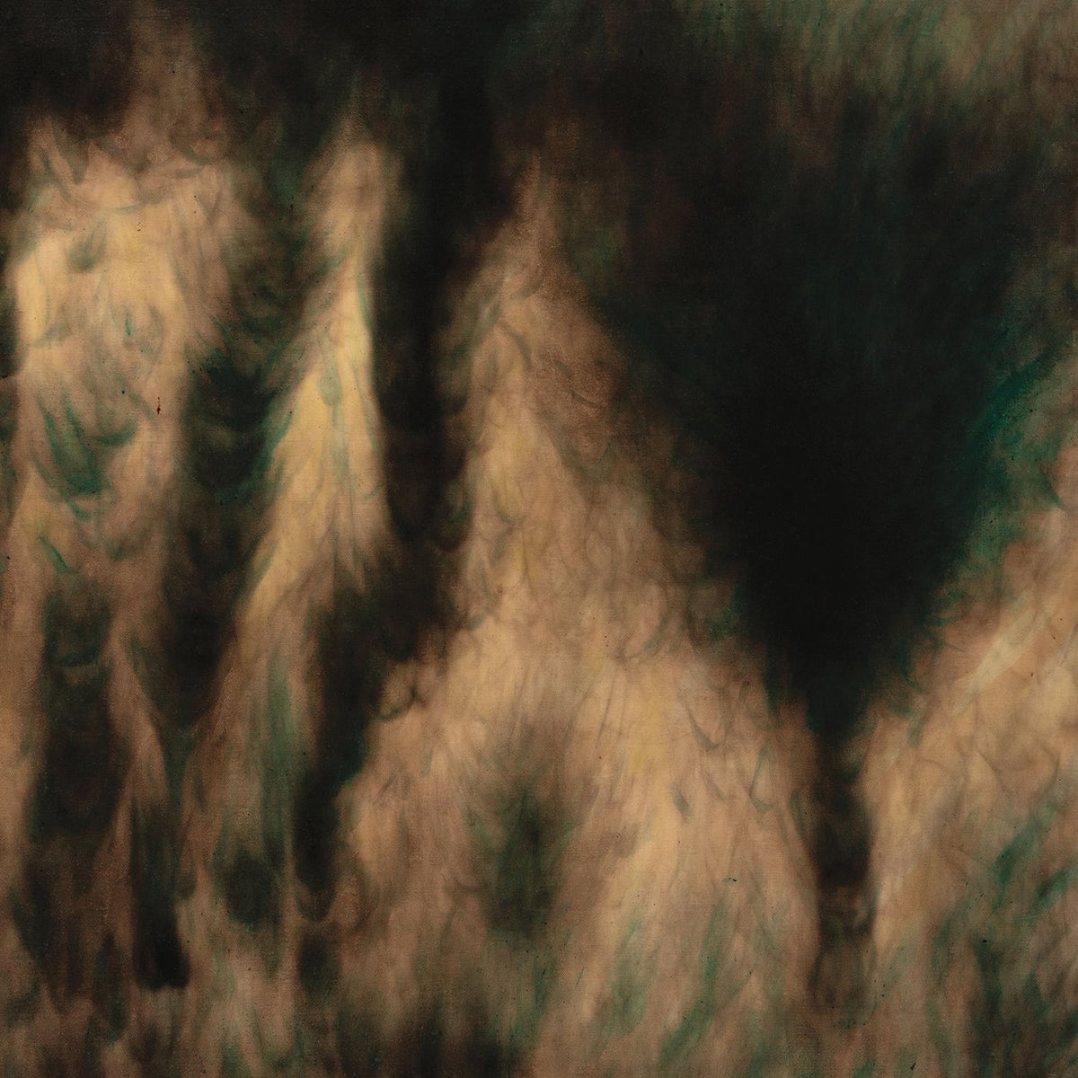 William Basinski – Lamentations vinyl record cover