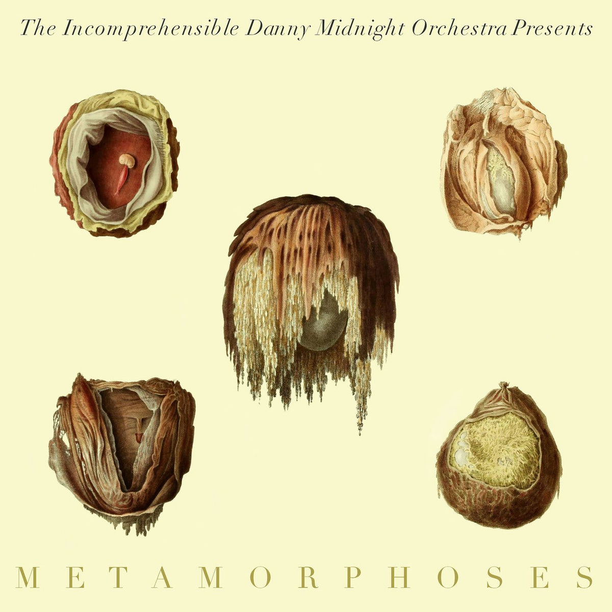 Incomprehensible Danny Midnight Orchestra – Metamorphoses vinyl record cover