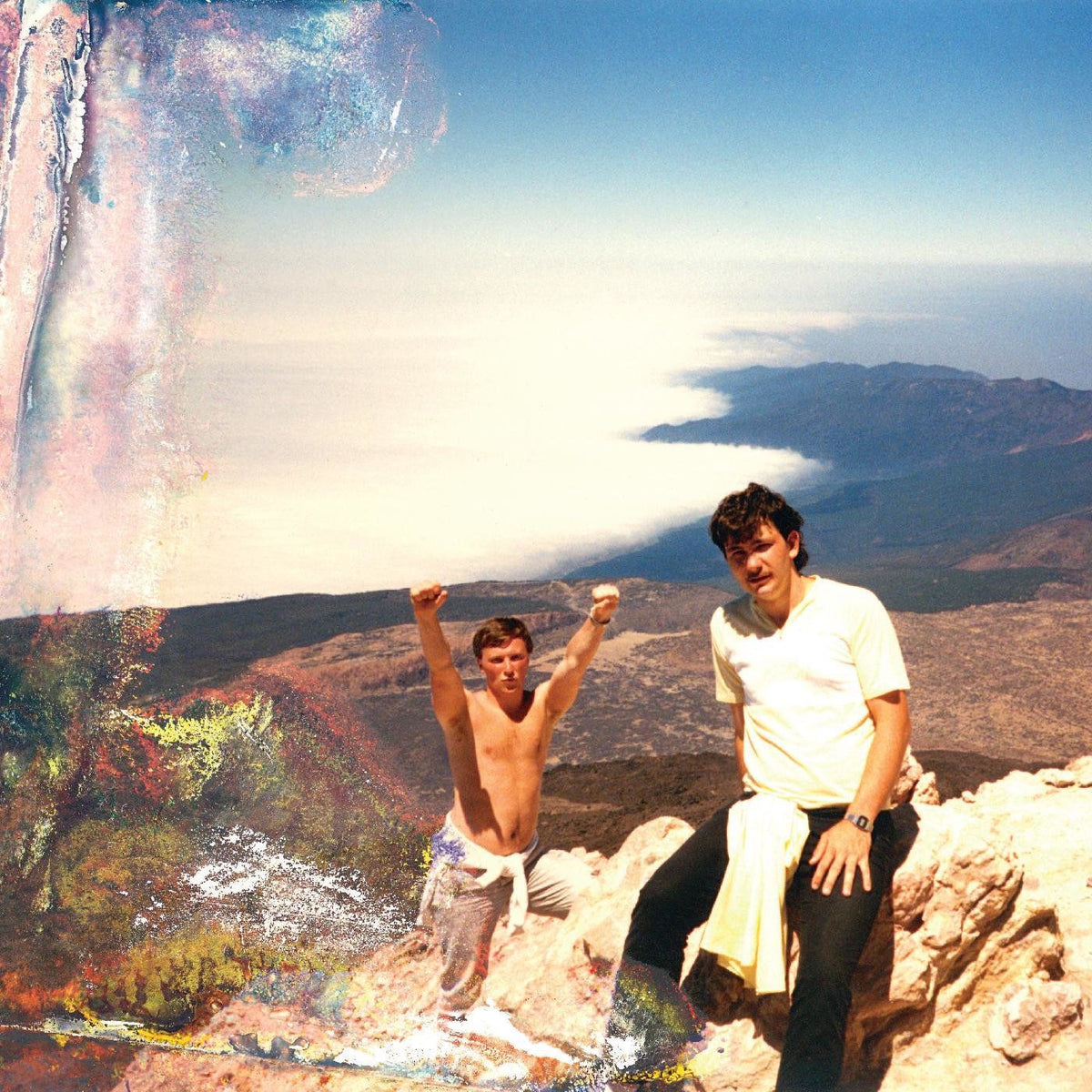 Dalhous – Visibility Is a Trap vinyl cover