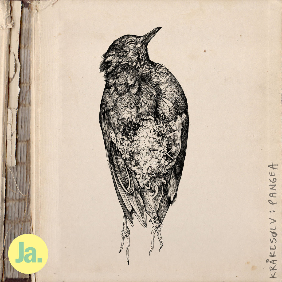 Krakesolv – Pangea vinyl record cover