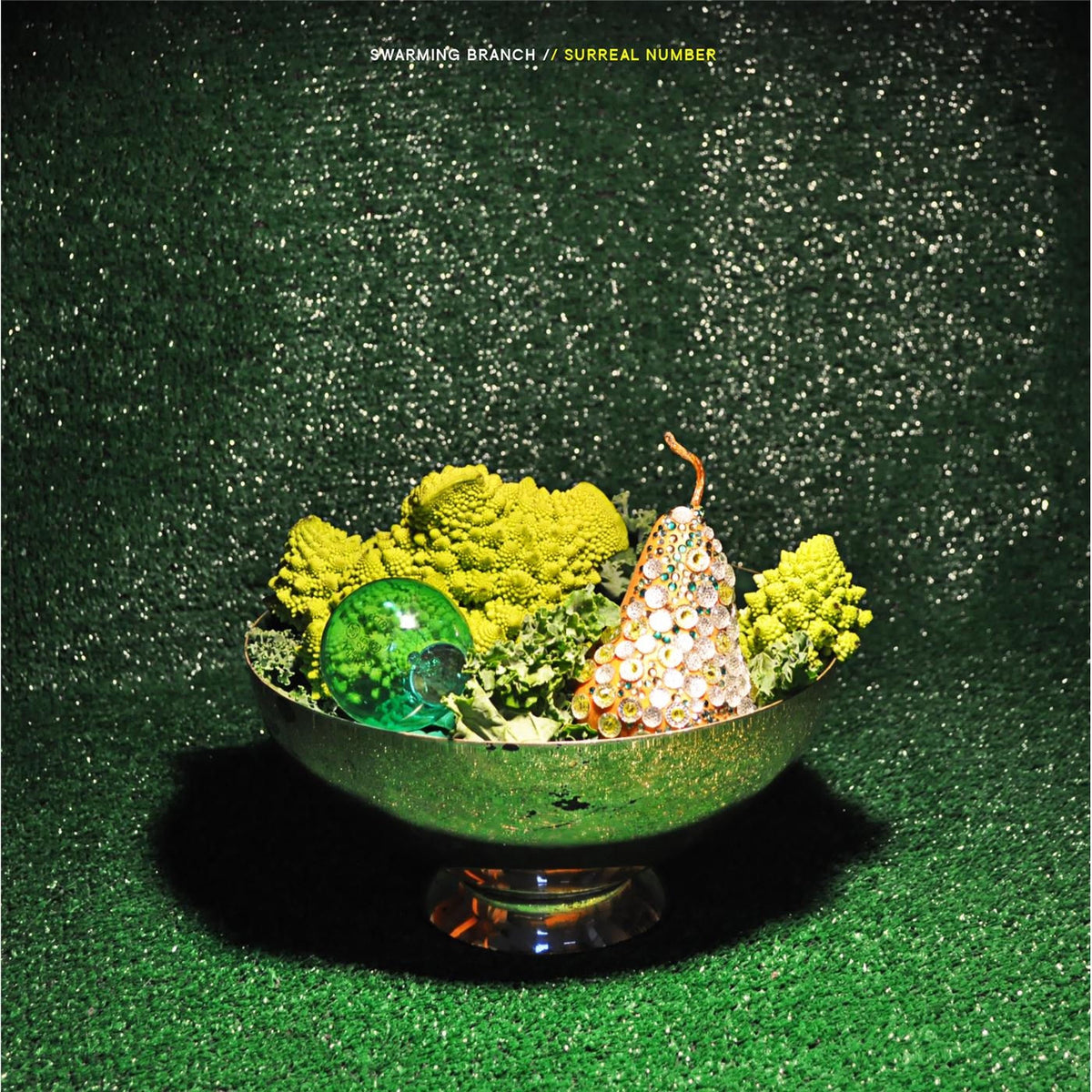 Swarming Branch – Surreal Number vinyl record cover