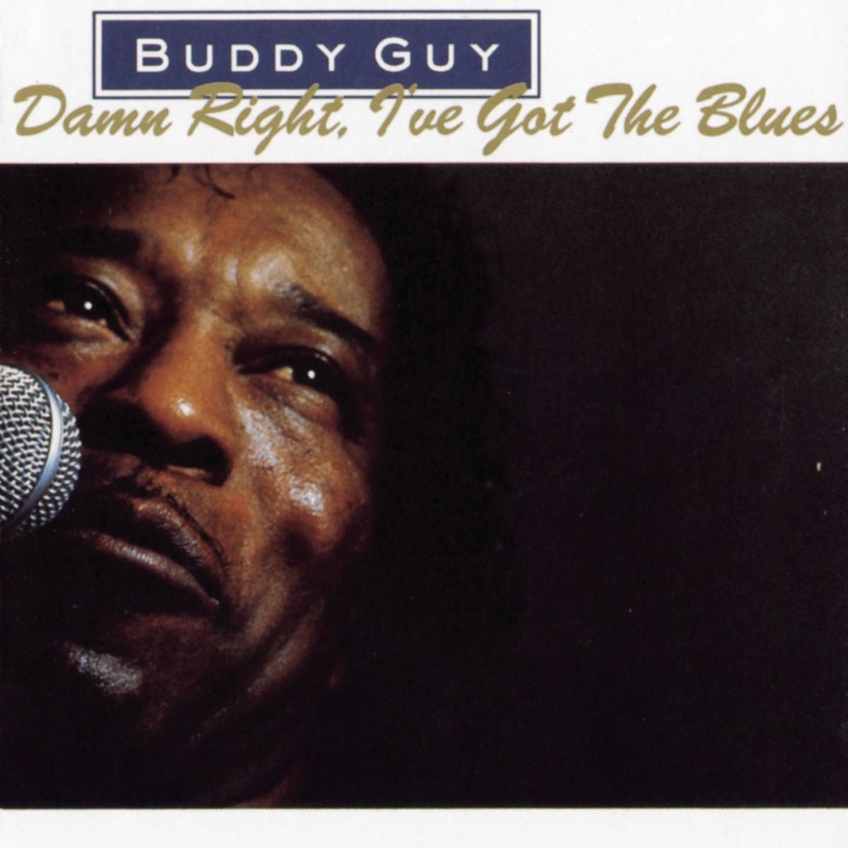 Buddy Guy – Damn Right, I've Got the Blues vinyl record cover