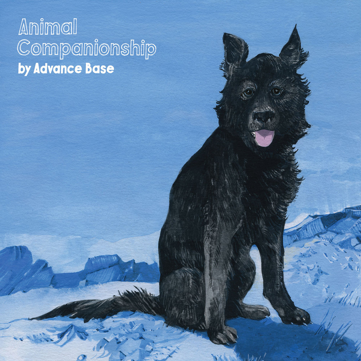 Advance Base – Animal Companionship (CLEAR BLUE SWIRL VINYL) vinyl record cover