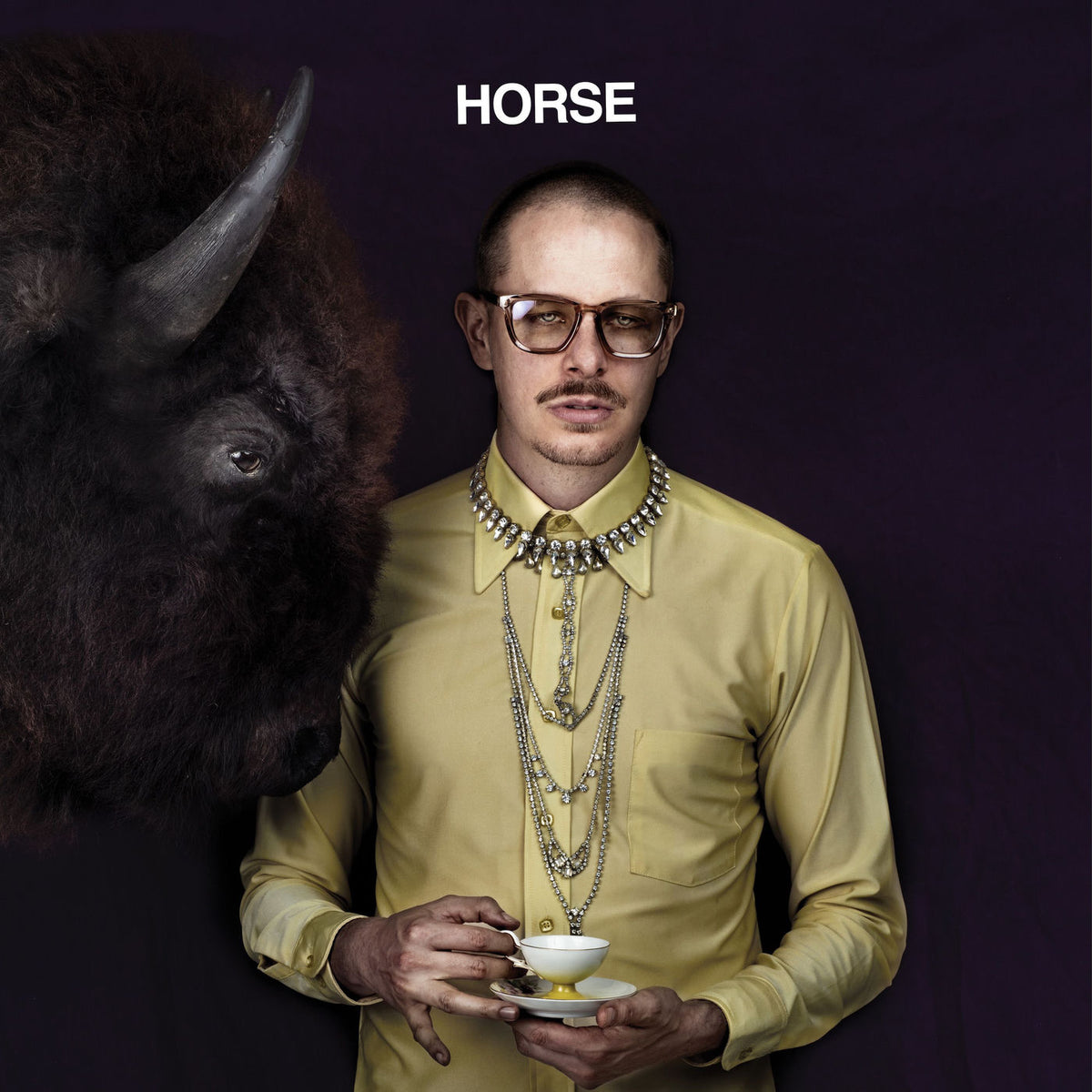 PROF – Horse (LIMITED PURPLE COLOURED VINYL + 32-PAGE LINER BOOKLET) vinyl record cover