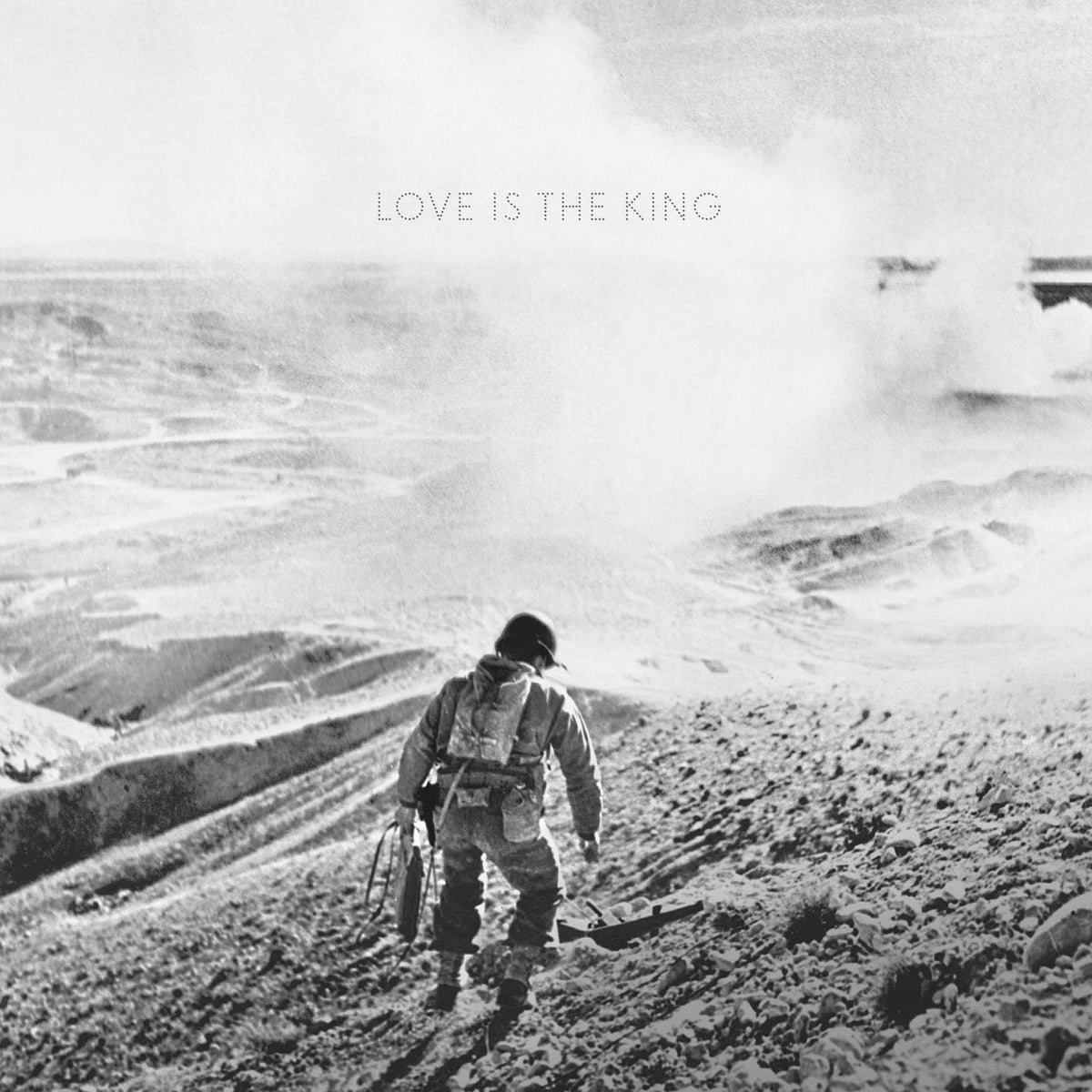 Jeff Tweedy – Love Is the King vinyl record cover