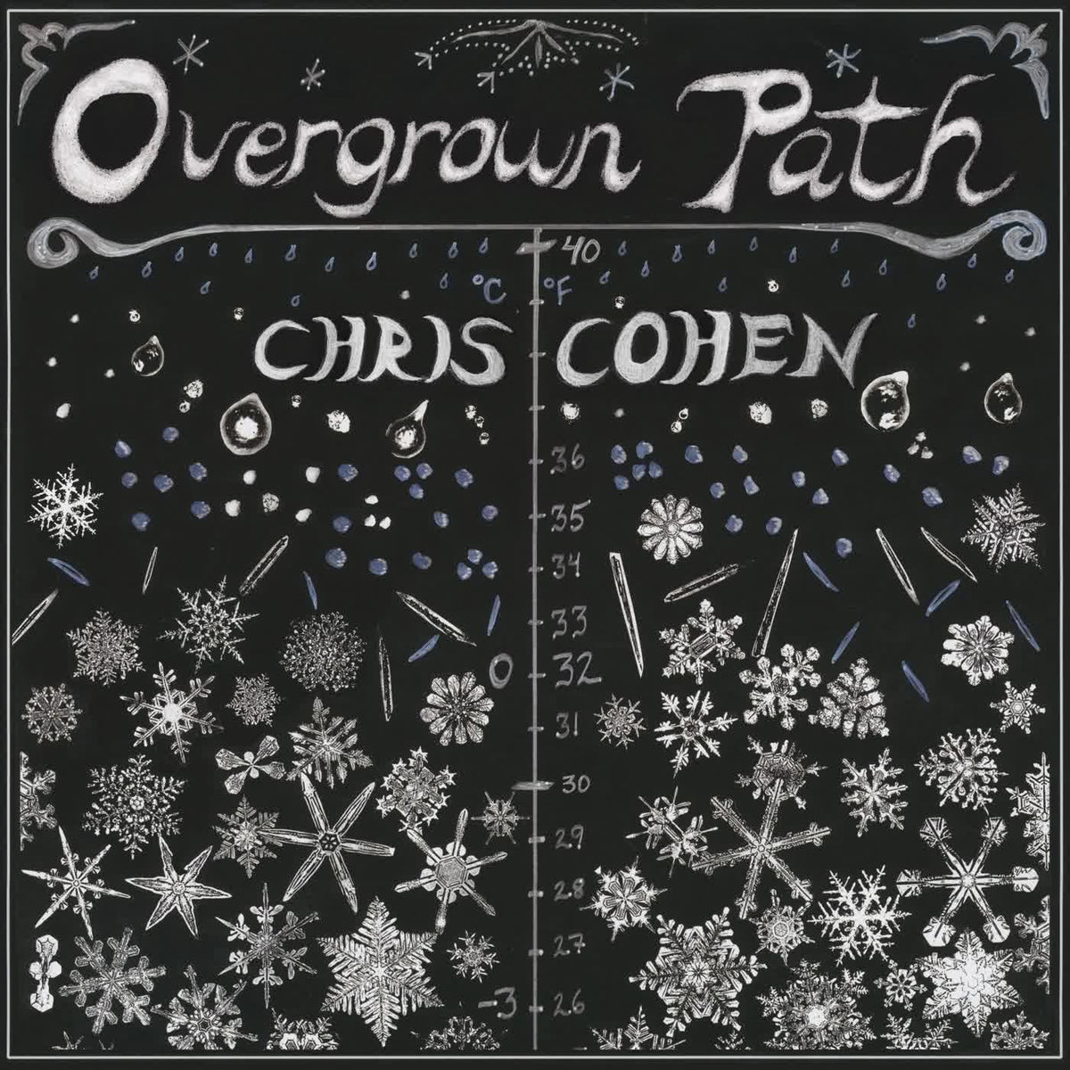 Chris Cohen – Overgrown Path vinyl cover