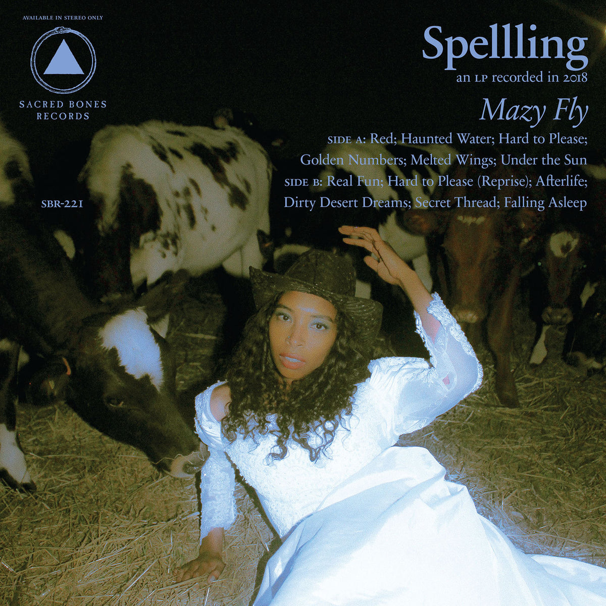 Spellling – Mazy Fly vinyl record cover