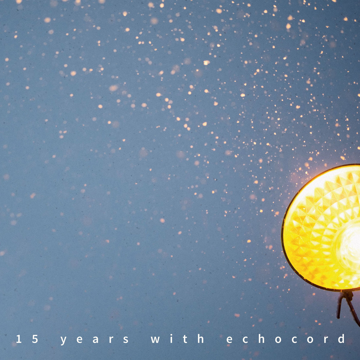 Various Artists – 15 Years With Echocord vinyl record cover