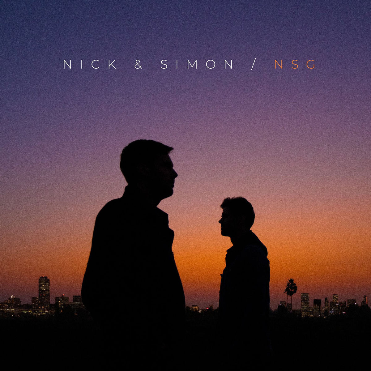 Nick & Simon – NSG vinyl record cover