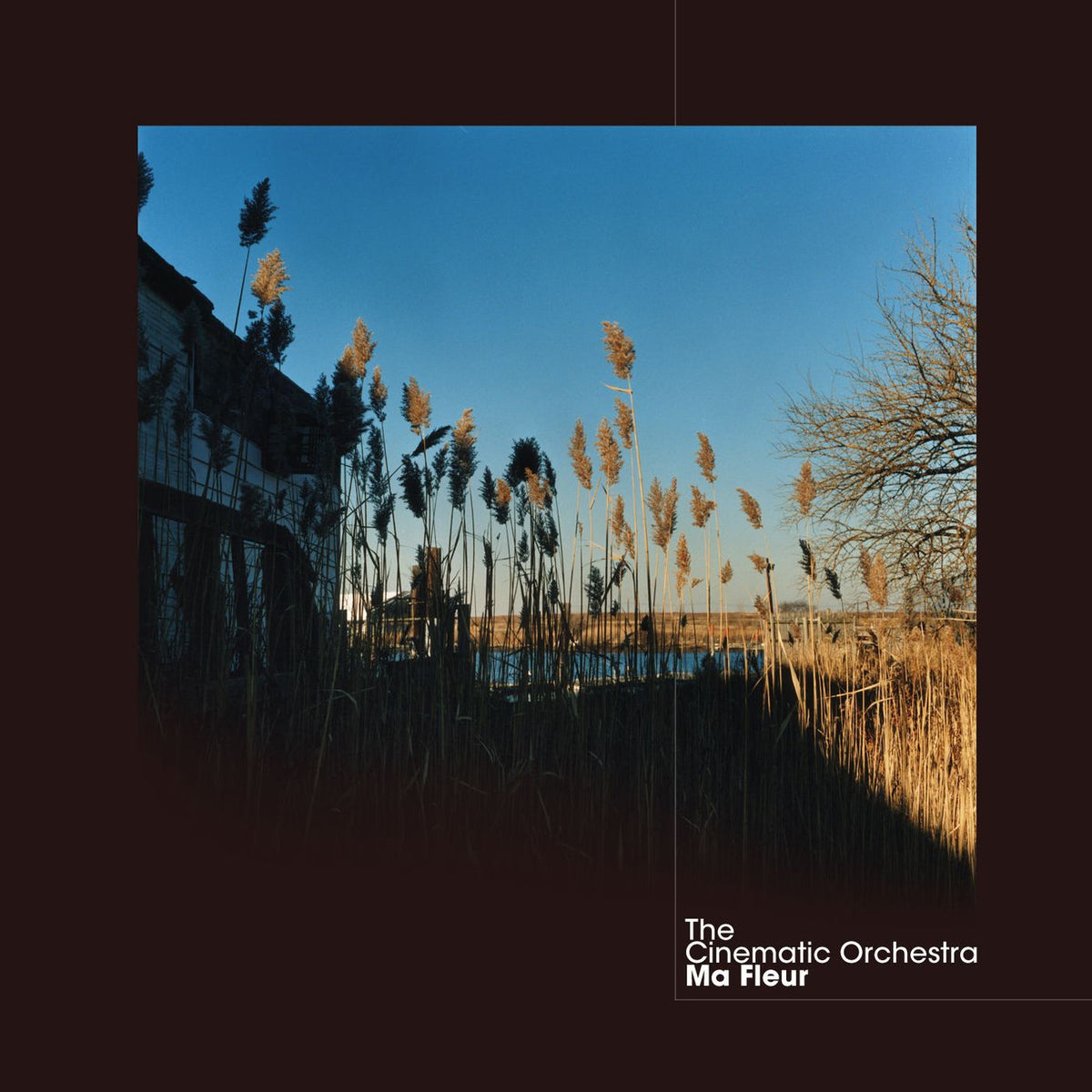 Cinematic Orchestra – Ma Fleur vinyl record cover