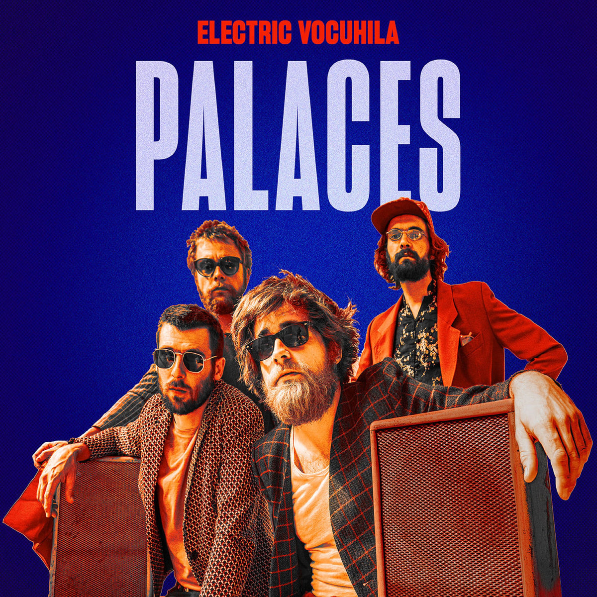 Electric Vocuhila – Palaces vinyl record cover