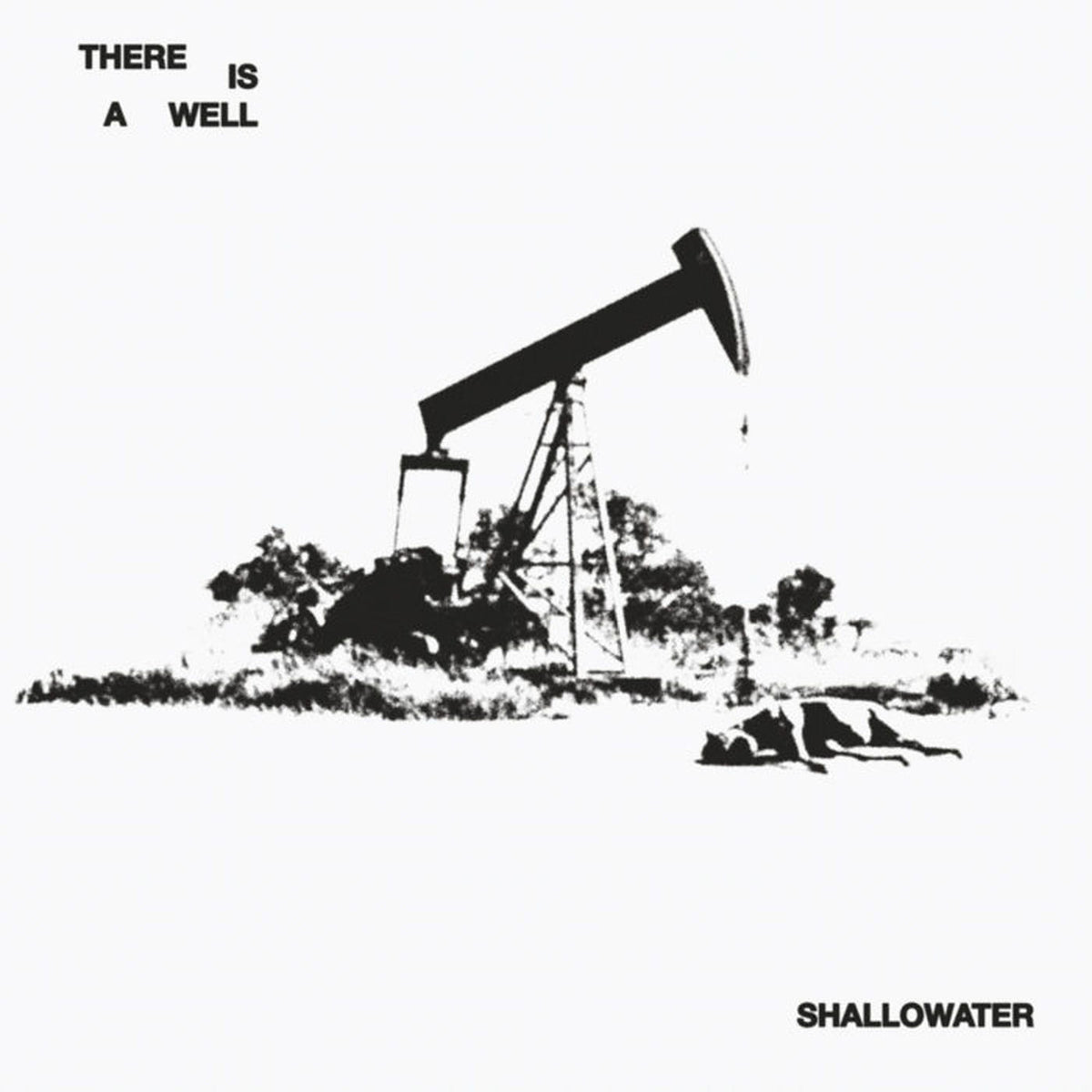 Shallowater – There Is a Well vinyl cover