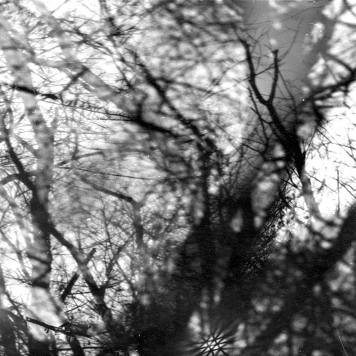 Grouper – Way Their Crept vinyl cover