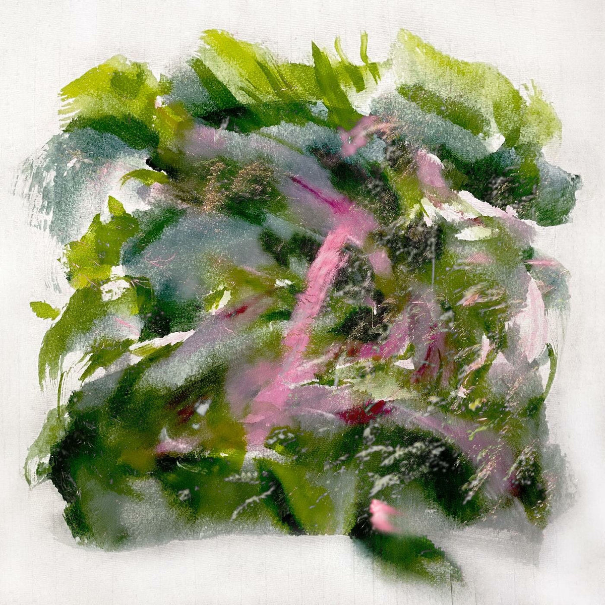MIZU – Forest Scenes vinyl record cover