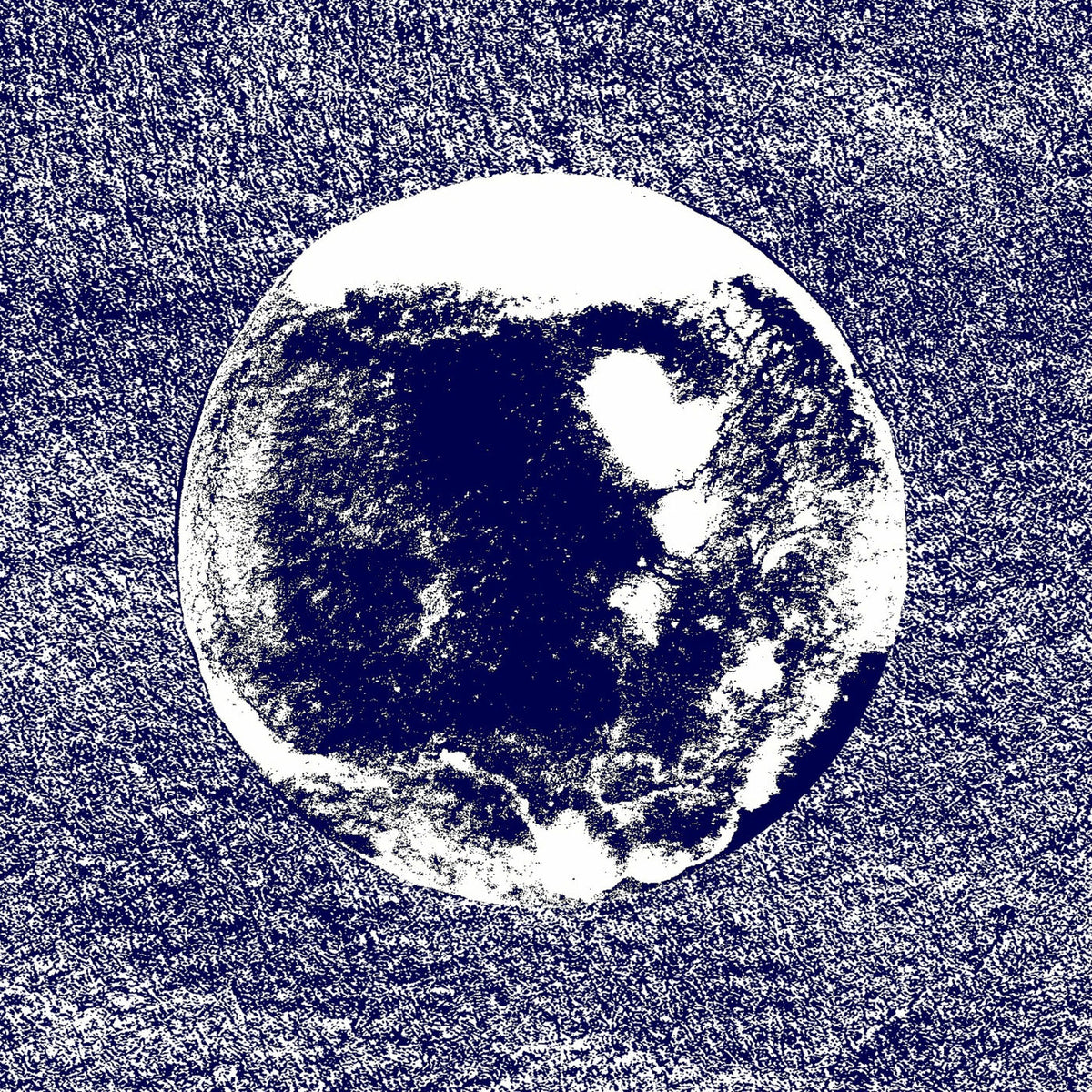 Bermud – Oceans On The Moon vinyl record cover