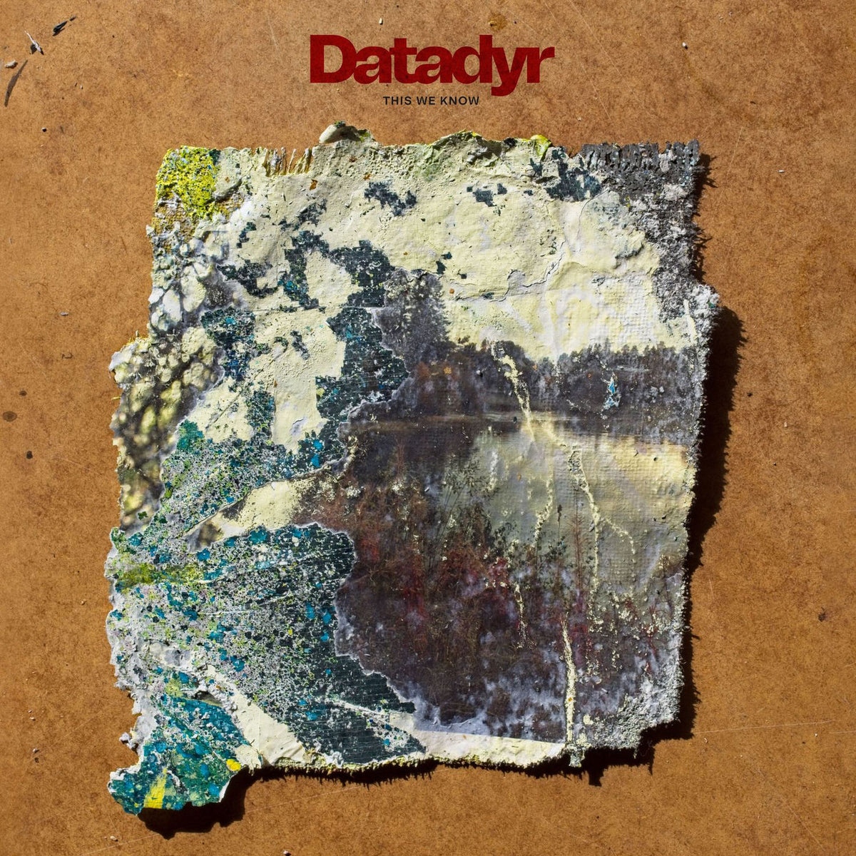 Datadyr – This We Know vinyl record cover