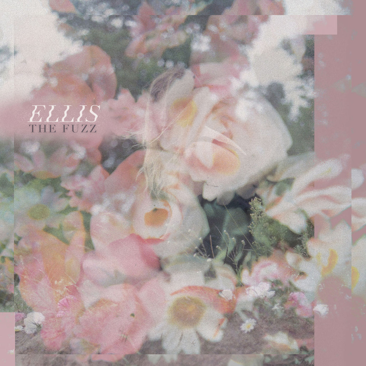 Ellis – The Fuzz vinyl record cover