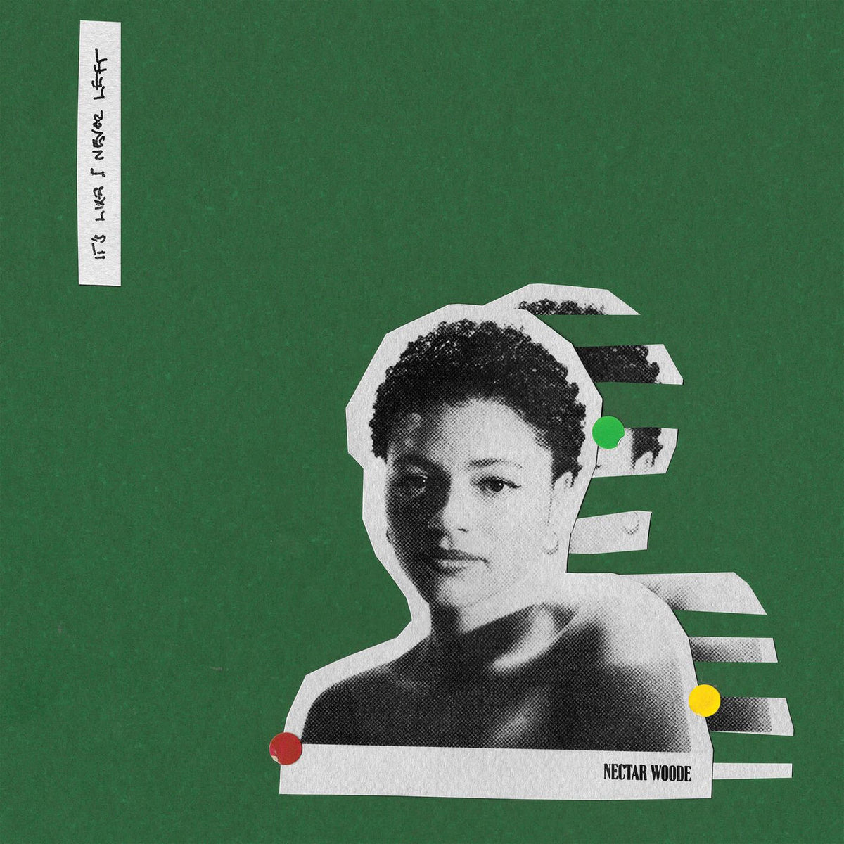 Nectar Woode – it's like I never left vinyl cover