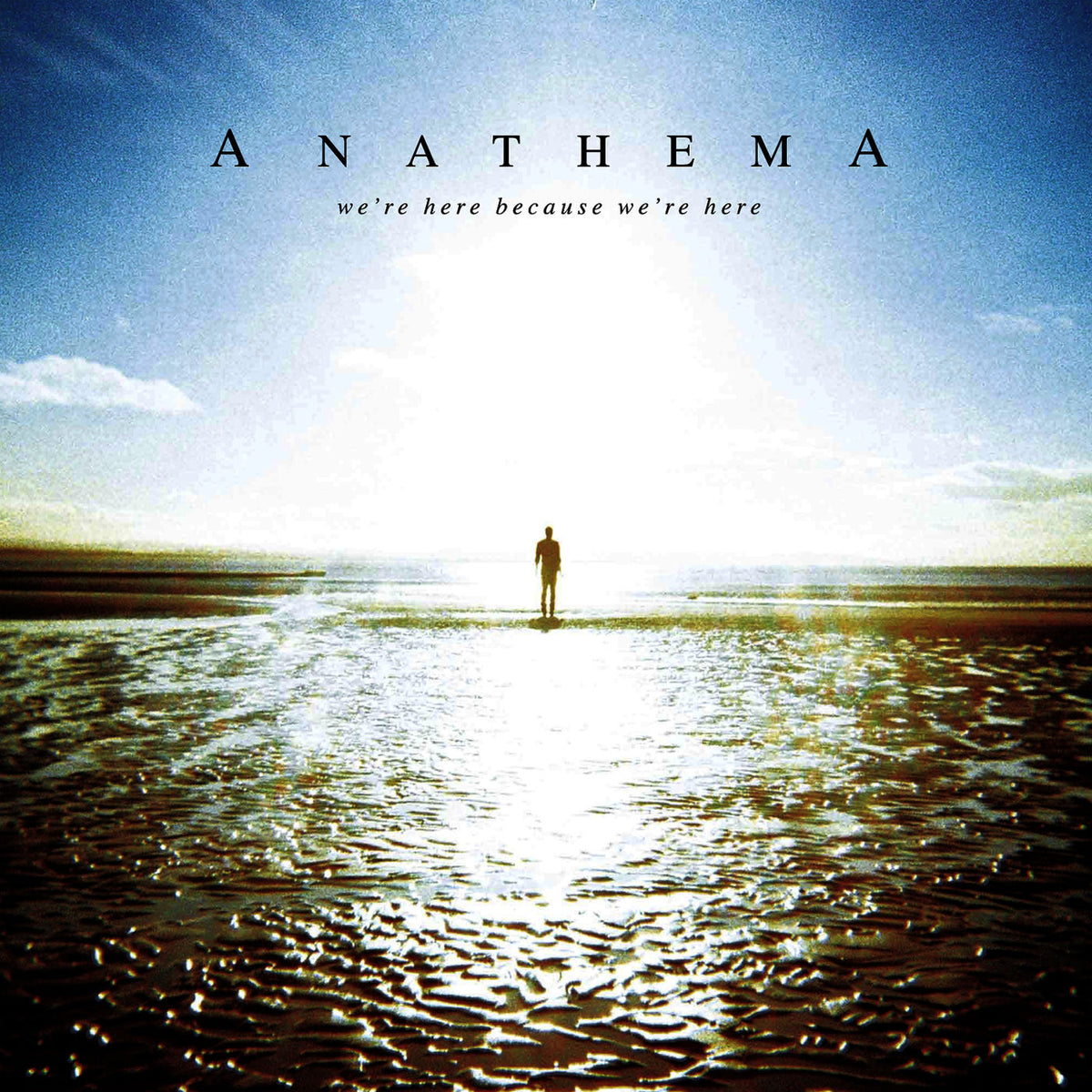 Anathema – We're Here Because We're Here vinyl cover