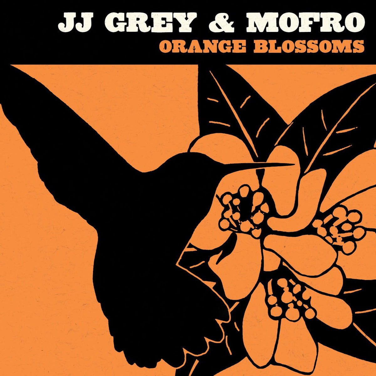 JJ Grey & Mofro – Orange Blossoms vinyl record cover