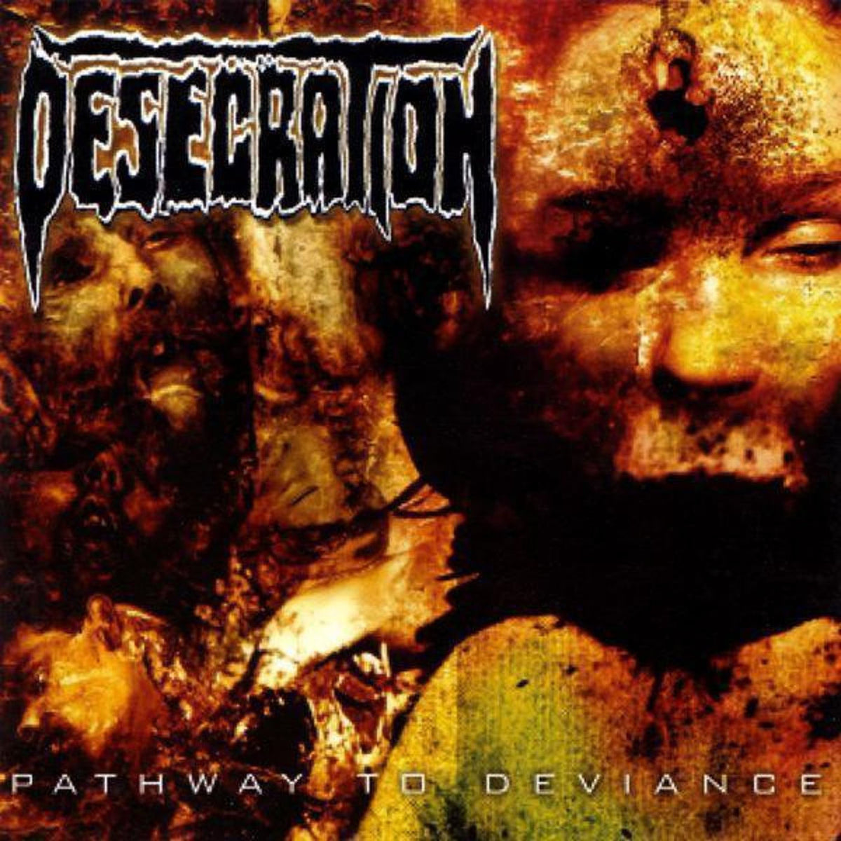 Desecration – Pathway to Deviance vinyl record cover