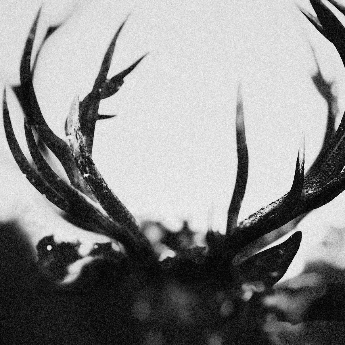 Ihsahn – Ihsahn vinyl record cover