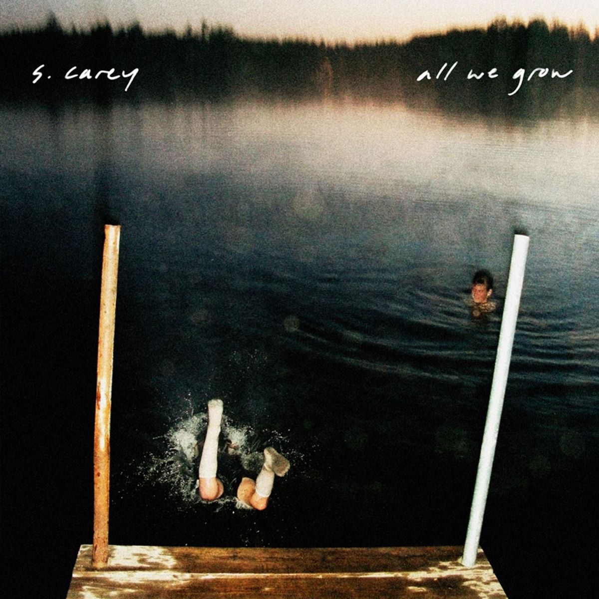 S. Carey – All We Grow vinyl cover