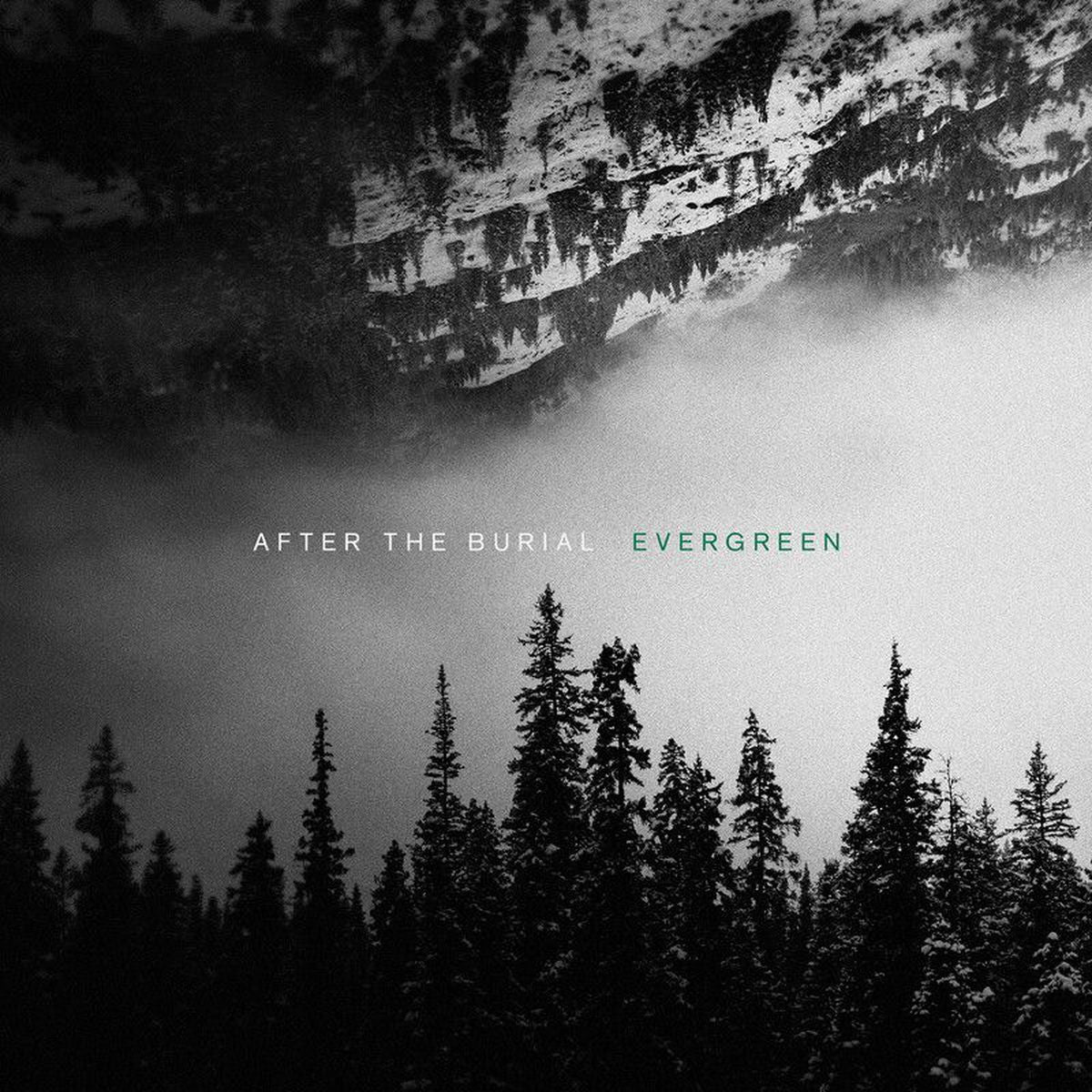 After The Burial – Evergreen vinyl record cover