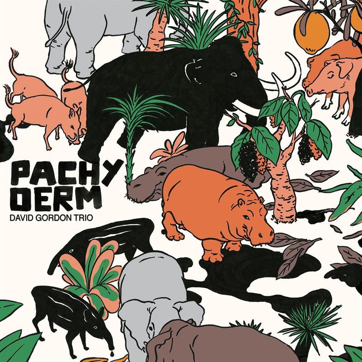 David Gordon Trio – Pachyderm vinyl record cover