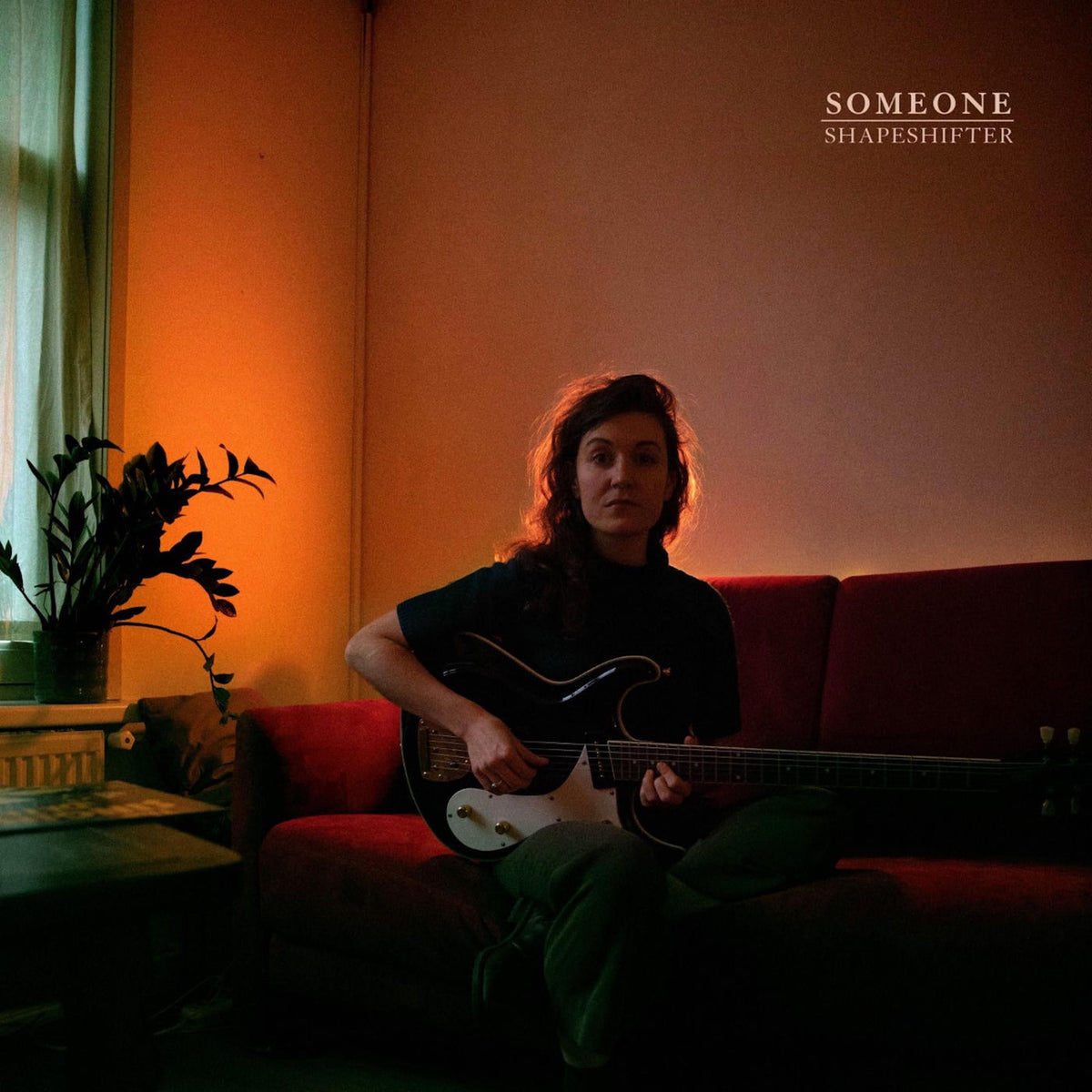 Someone – Shapeshifter vinyl record cover