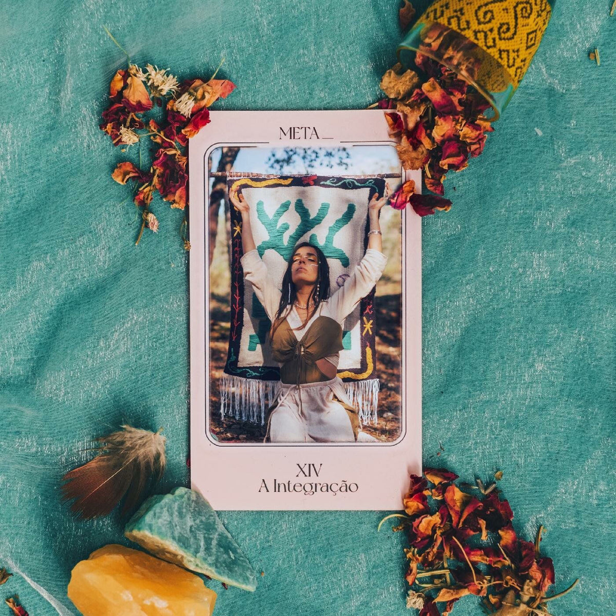 Meta_ – XIV- A Integração vinyl cover