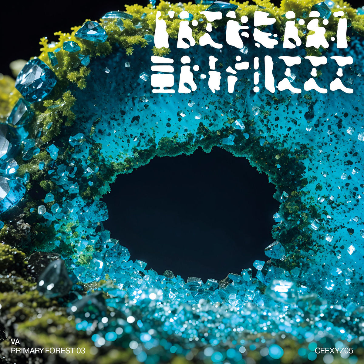 Various Artists – Primary Forest 03 vinyl record cover