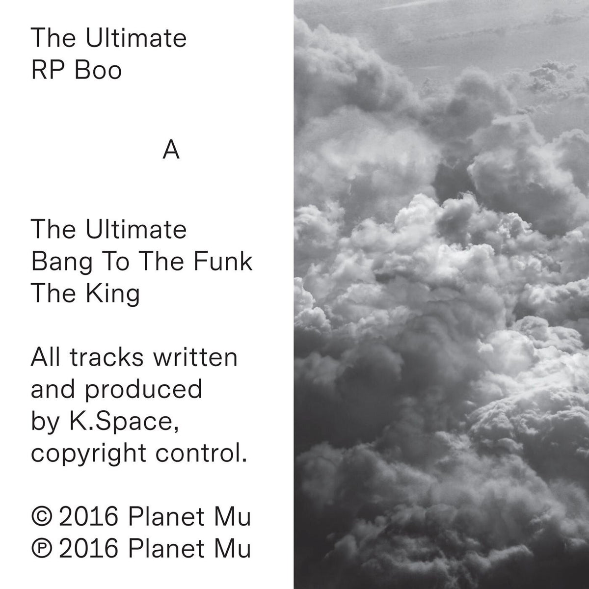 RP Boo – The Ultimate vinyl cover