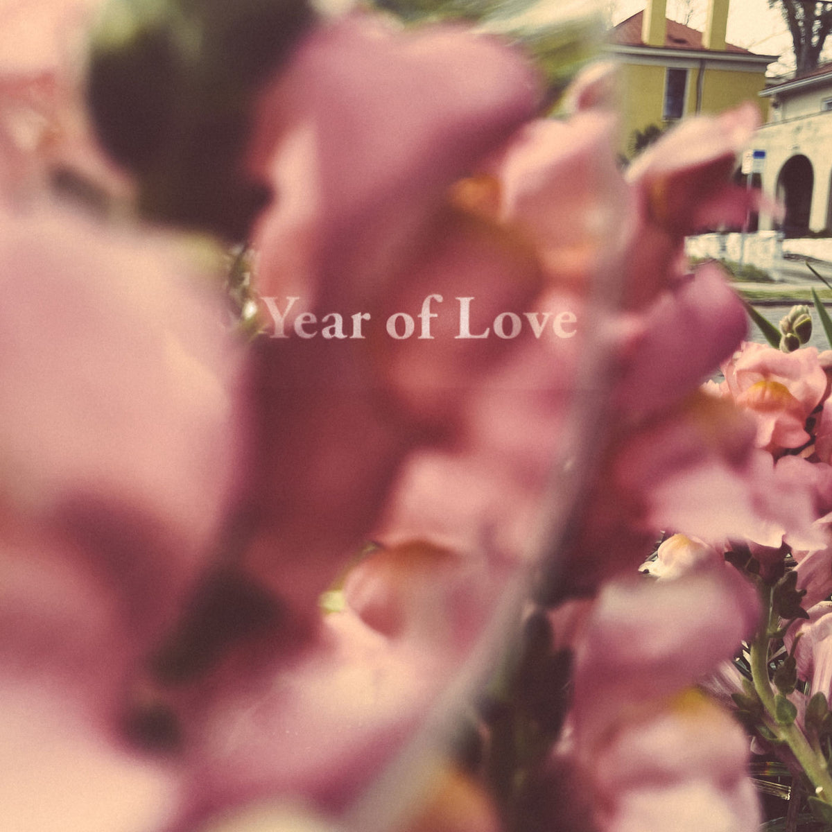 Beta Radio – Year Of Love vinyl record cover