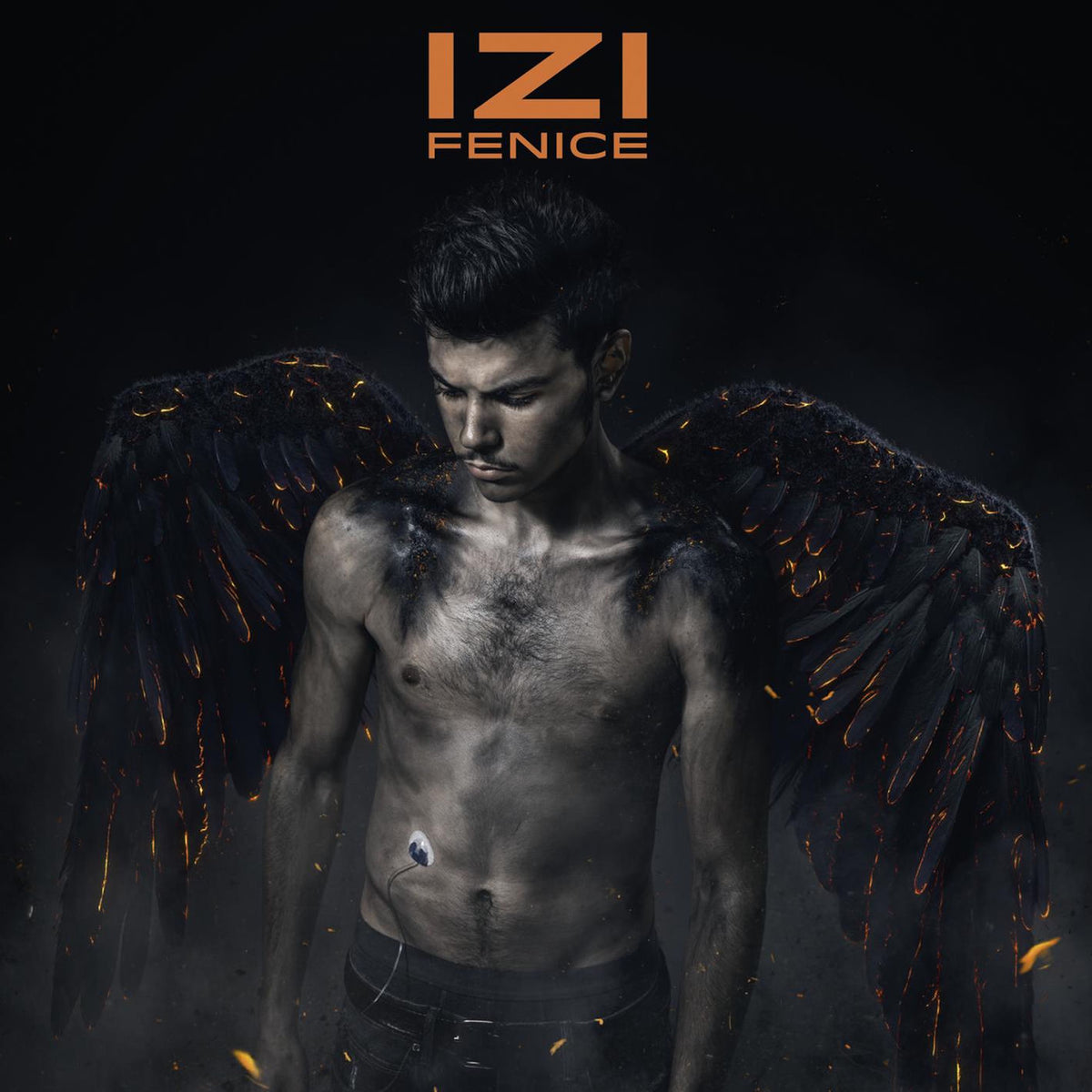 IZI – Fenice vinyl record cover