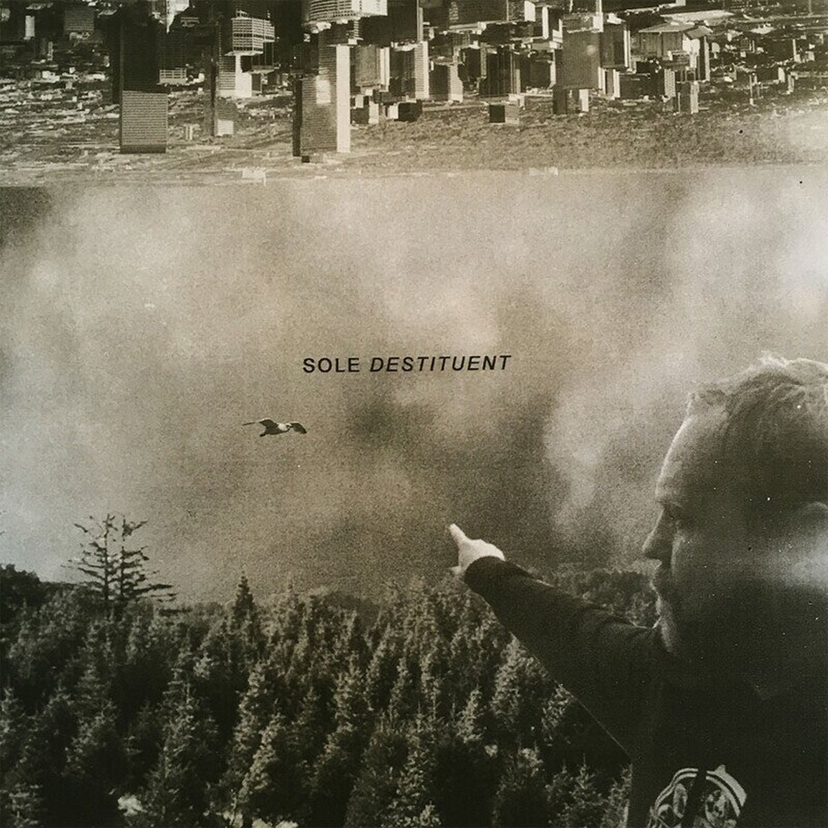 Sole – Destituent vinyl cover