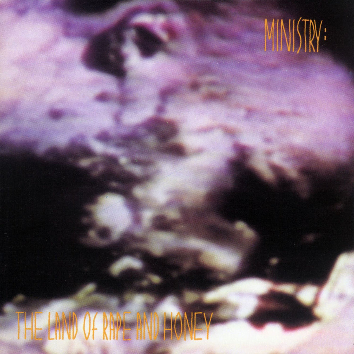 Ministry – Land Of Rape And Honey (Deluxe Edition) (Rocktober) vinyl record cover