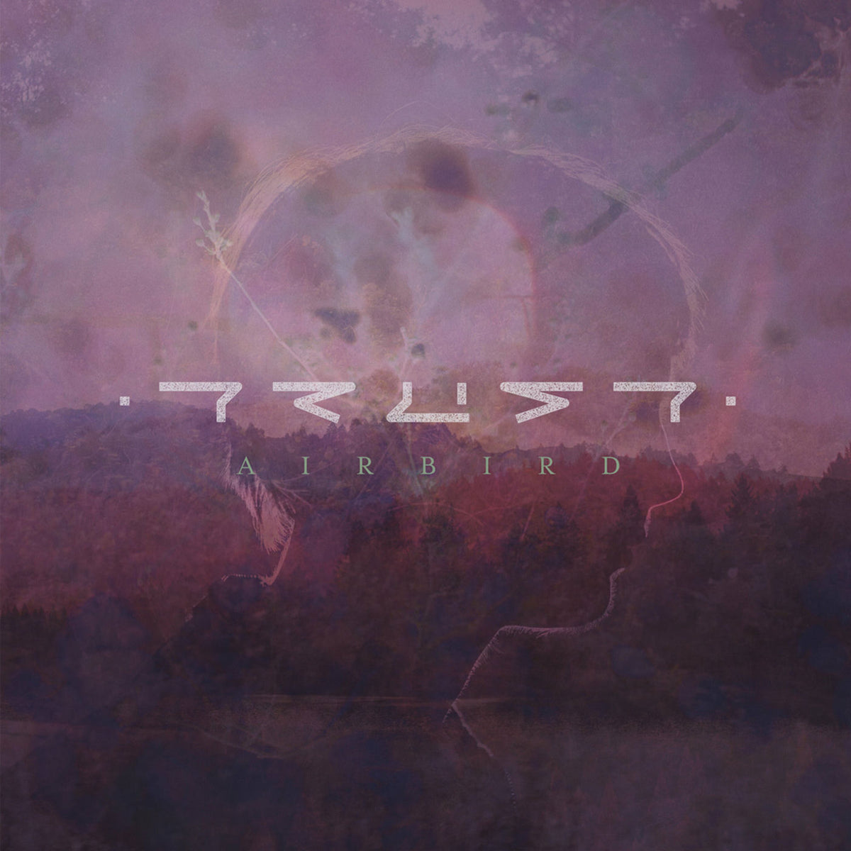 Airbird – Trust vinyl cover