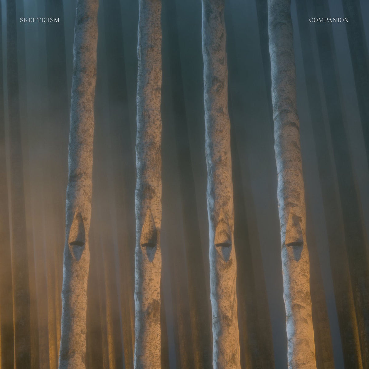 Skepticism – Companion vinyl record cover