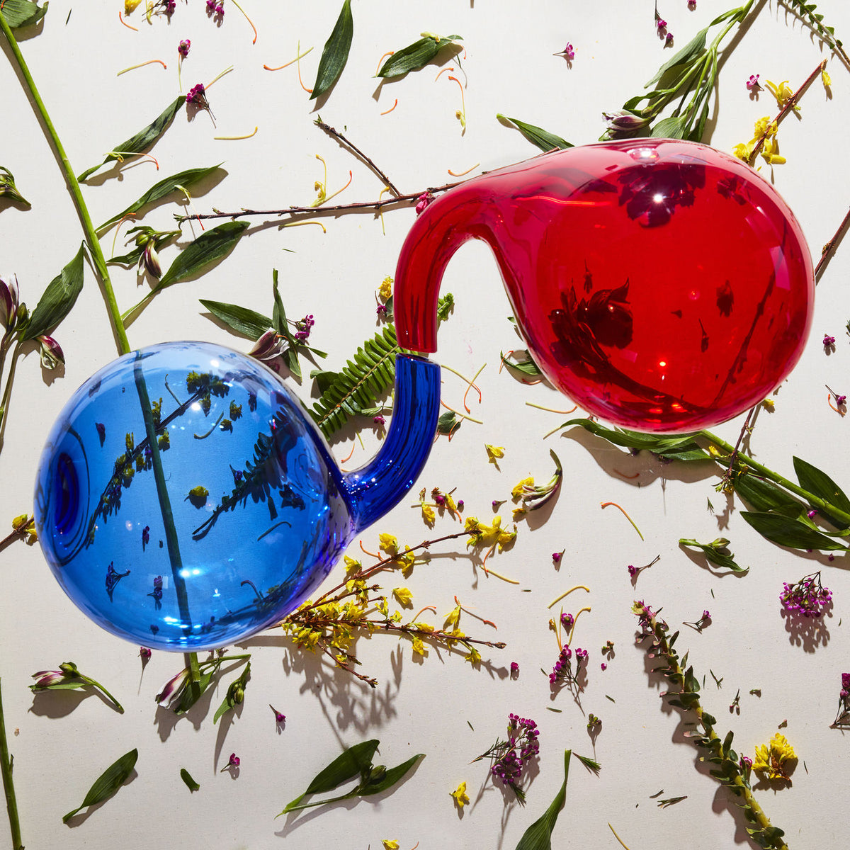 Dirty Projectors – Lamp Lit Prose vinyl record cover