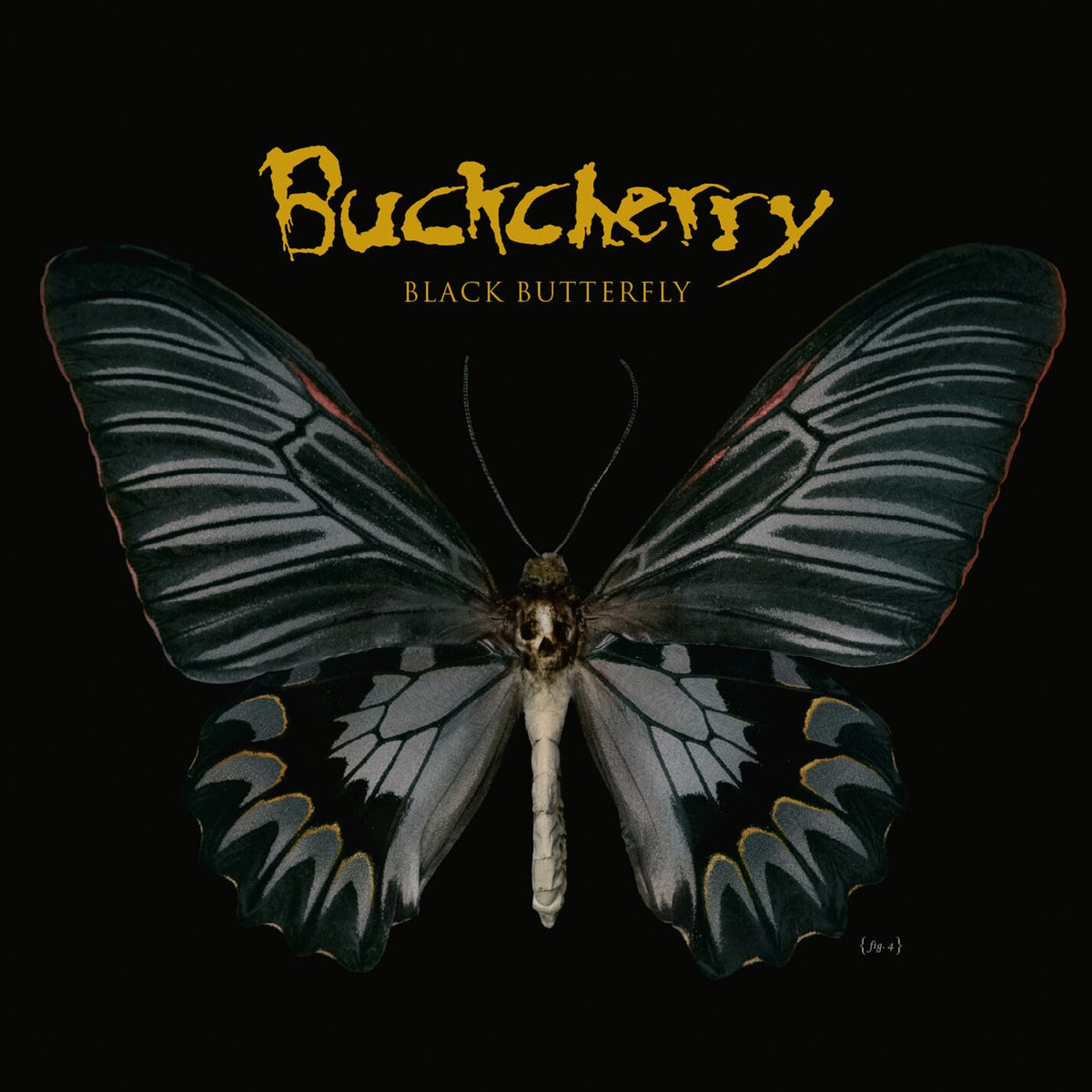 Buckcherry – Black Butterfly vinyl record cover