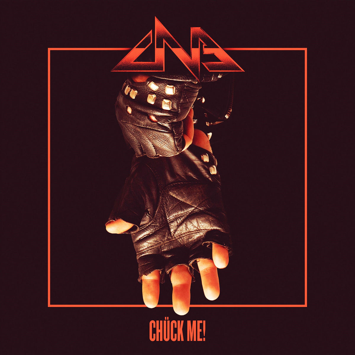 The Chuck Norris Experiment – Chück Me! vinyl record cover