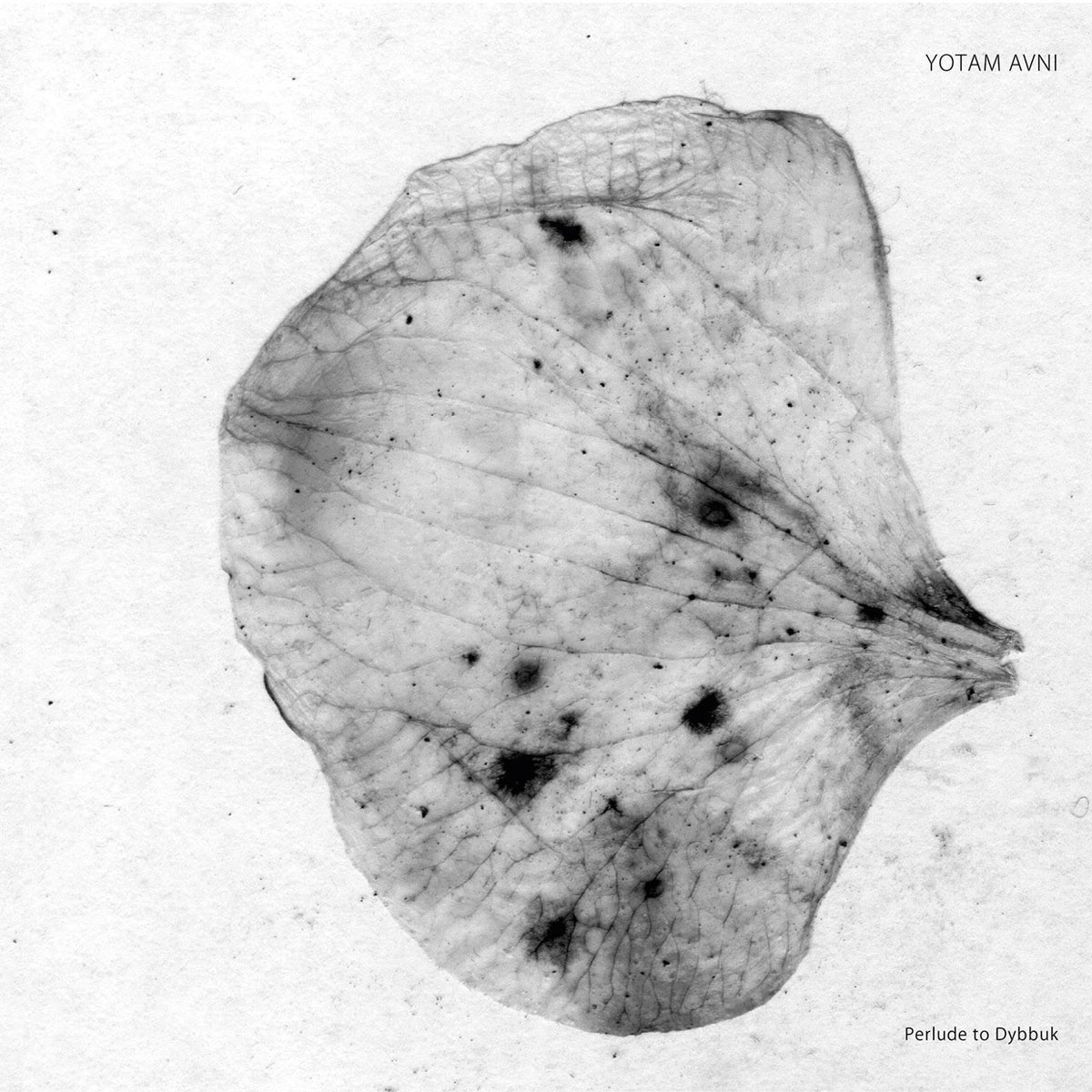 Yotam Avni – Perlude to Dybbuk vinyl cover