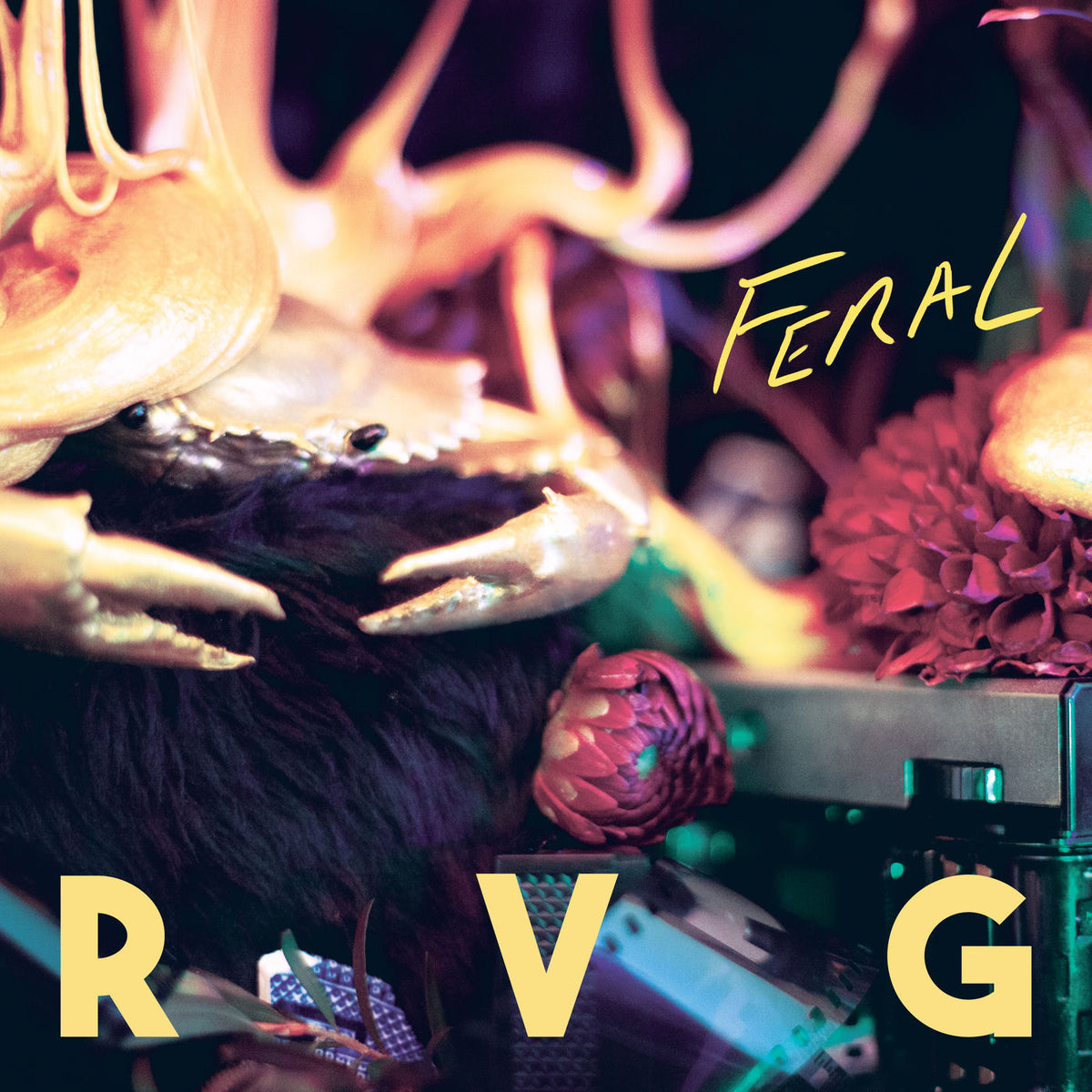 RVG – Feral vinyl cover