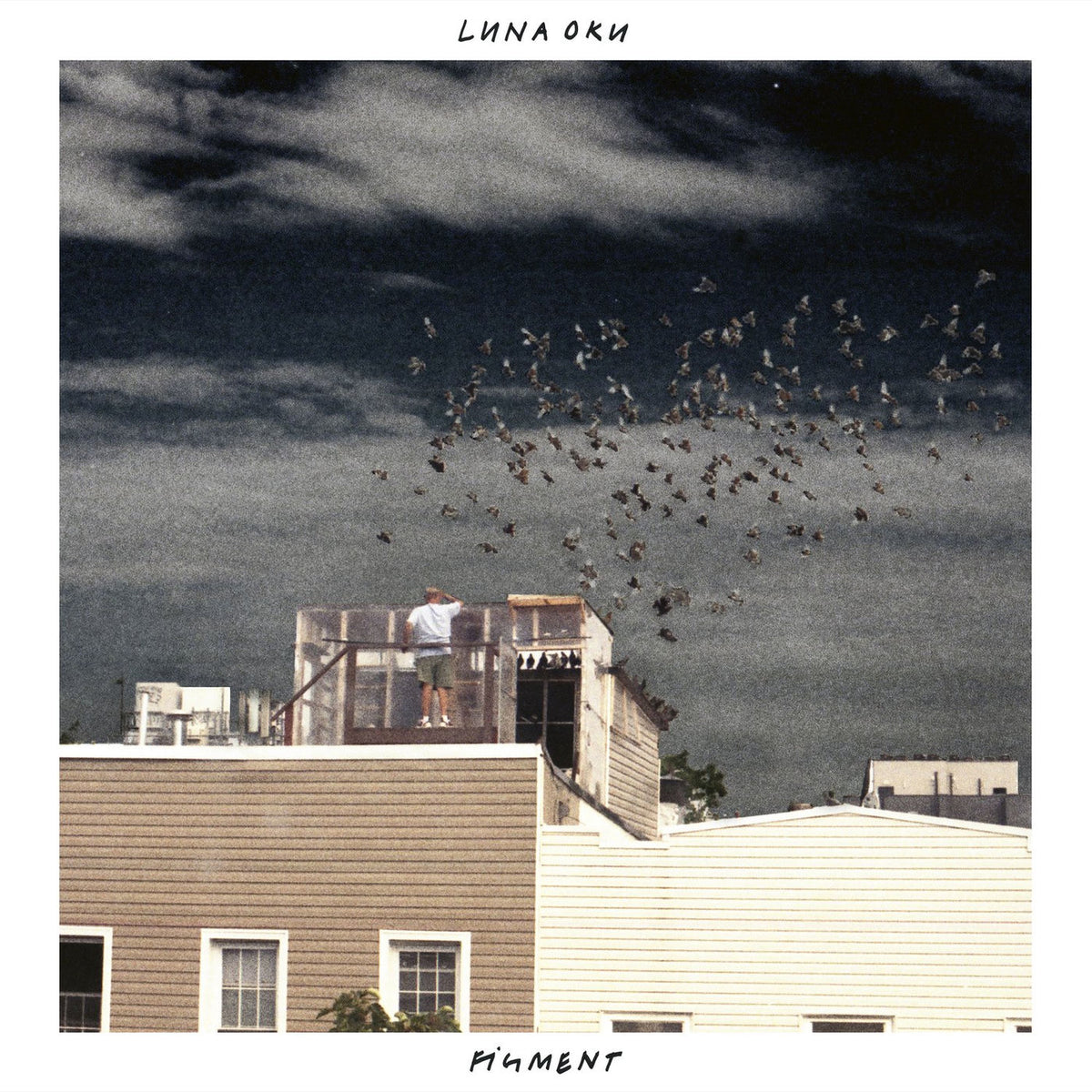 Luna Oku – Figment vinyl cover