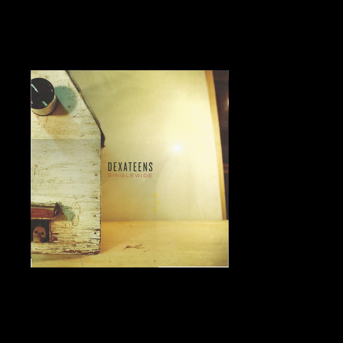 Dexateens – Singlewide vinyl record cover