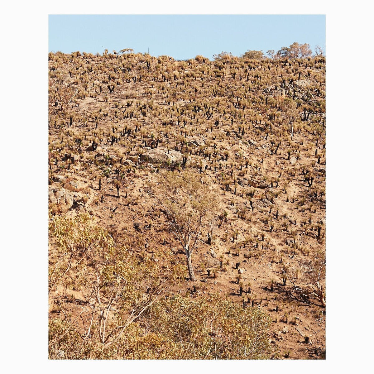 Andrew Pekler – Palimpsests vinyl cover