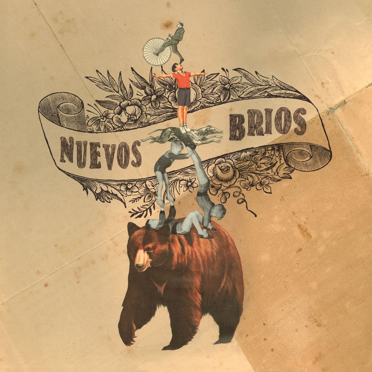 Various Artists – Nuevos Brios vinyl record cover